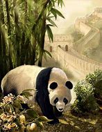 Image result for China Panda Art