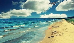 Image result for Sea Travel Wallpaper