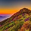 Image result for Sequoia National Park Views