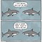 Image result for Fish Puns