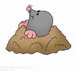 Image result for Mole Clip Art