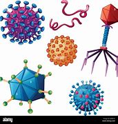 Image result for Different Kinds of Viruses