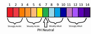 Image result for pH-meter Acid and Base