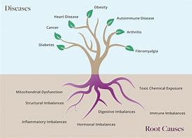 Image result for Tree and Roots Diagram