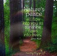 Image result for Find Peace in Nature Quotes