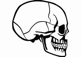 Image result for 3 4. Profile Skull Drawing