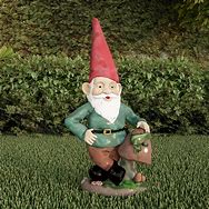 Image result for Ngan Gnomes Garden