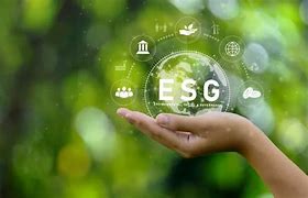 Image result for ESG Stragey Icon