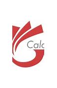 Image result for Calco Llogo