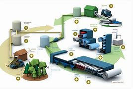 Image result for Papermaking Process Cartoon