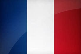 Image result for WW1 French Infantry Flags