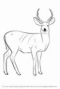 Image result for Mule Deer Stencil Drzw