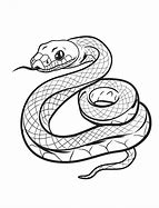 Image result for Snake Black and White Photography