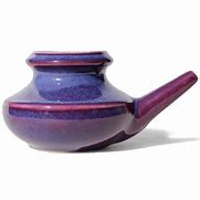 Image result for Nose Neti Pot