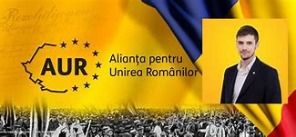 Image result for Romania Tigan