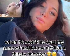 Image result for Thirsty Hamster Sunroof