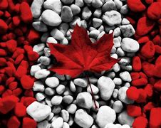 Image result for Canada Cities Full HD Images