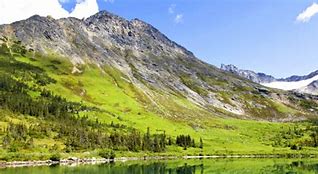 Image result for Alaska Shore Excursions