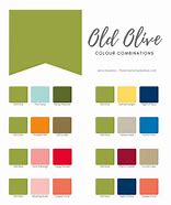 Image result for Csom Olive Green