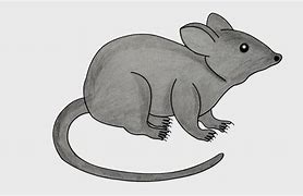 Image result for Easy to Draw Rat