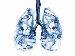 Image result for Lung Asthetic