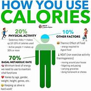 Image result for Average Basal Metabolic Rate