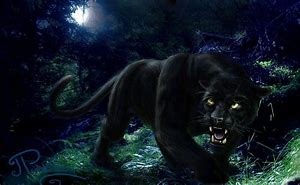 Image result for Black Panther Animal Jumping