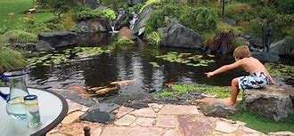 Image result for Aquascape Pond