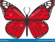 Image result for Red Butterfly Animated