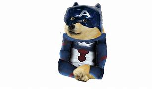 Image result for Captain Doge