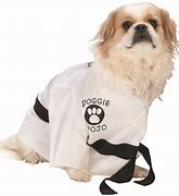 Image result for Cujo Costume for Dog