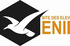 Image result for Enib Logo