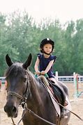 Image result for Baby Horse Running