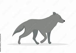 Image result for Wolf Side Rear View