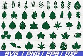 Image result for Leaf Decor SVG