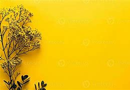 Image result for Yellow Wall BG