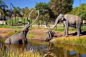 Image result for La Brea Tar Pits Clip Art