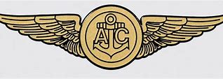 Image result for Pilot Aircrew Wings