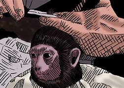 Image result for Cutting Monkey Hair Meme