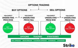 Image result for Option Market