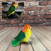 Image result for Bird Stuffed Animal