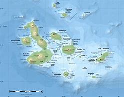 Image result for Galapagos Topo Map