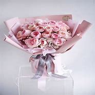 Image result for Pink June Flowere