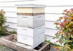 Image result for Long Bee Hive Plans