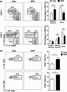 Image result for CD4 Liver