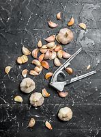 Image result for Garlic Press