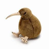 Image result for Kiwi Plush Toy