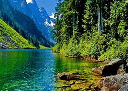 Image result for Lake View/Print