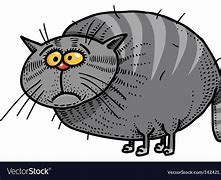 Image result for Fat Angora Cat Cartoon