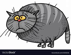 Image result for Fat Cat Dog Cartoon